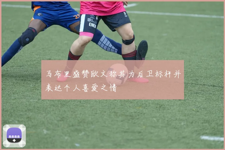 马布里盛赞欧文称其为后卫标杆并表达个人喜爱之情