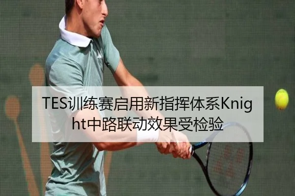 TES训练赛启用新指挥体系Knight中路联动效果受检验